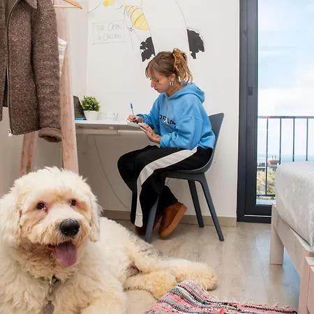 Wot Surf Social Ostello