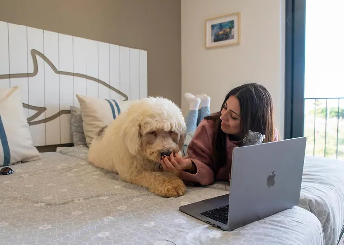 Wot Surf Social * エリセイラ