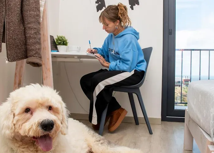 Wot Surf Social ホステル