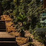 Wot Surf Social Albergue Ericeira