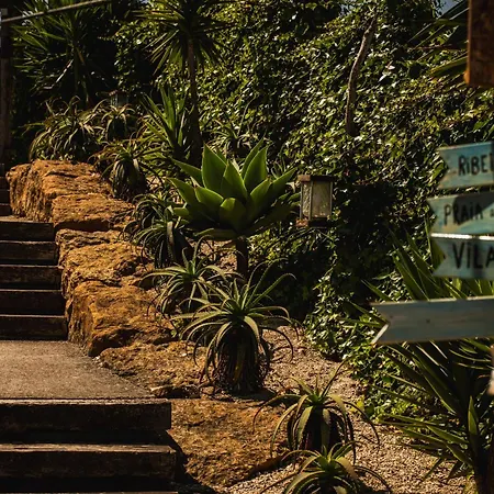 Wot Surf Social Hostel Ericeira