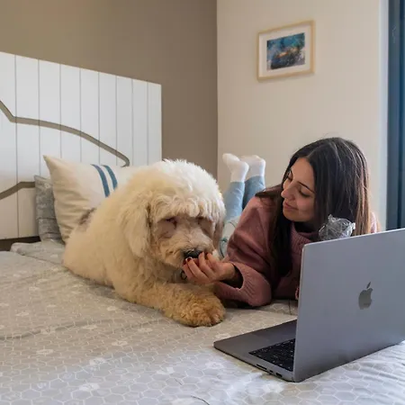 Wot Surf Social * إيريسييرا