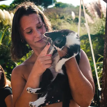 بيت شباب Wot Surf Social *