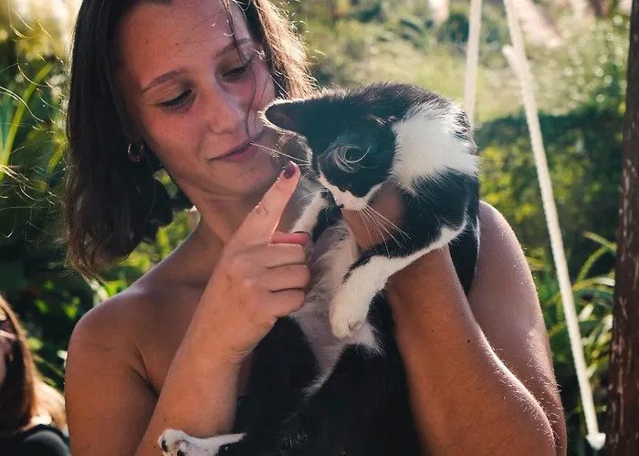 Albergue Wot Surf Social *